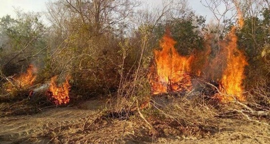 Focos de incêndio em Rondônia crescem quase 300%; em agosto foram 1.715 