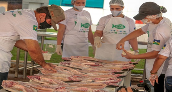 Governo do Estado promove 4º Festival do Tambaqui em 14 municípios
