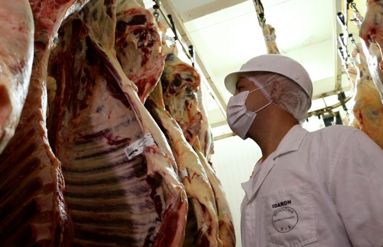 Termina hoje, 15, seletivo para o quadro de médicos veterinários da IDARON
