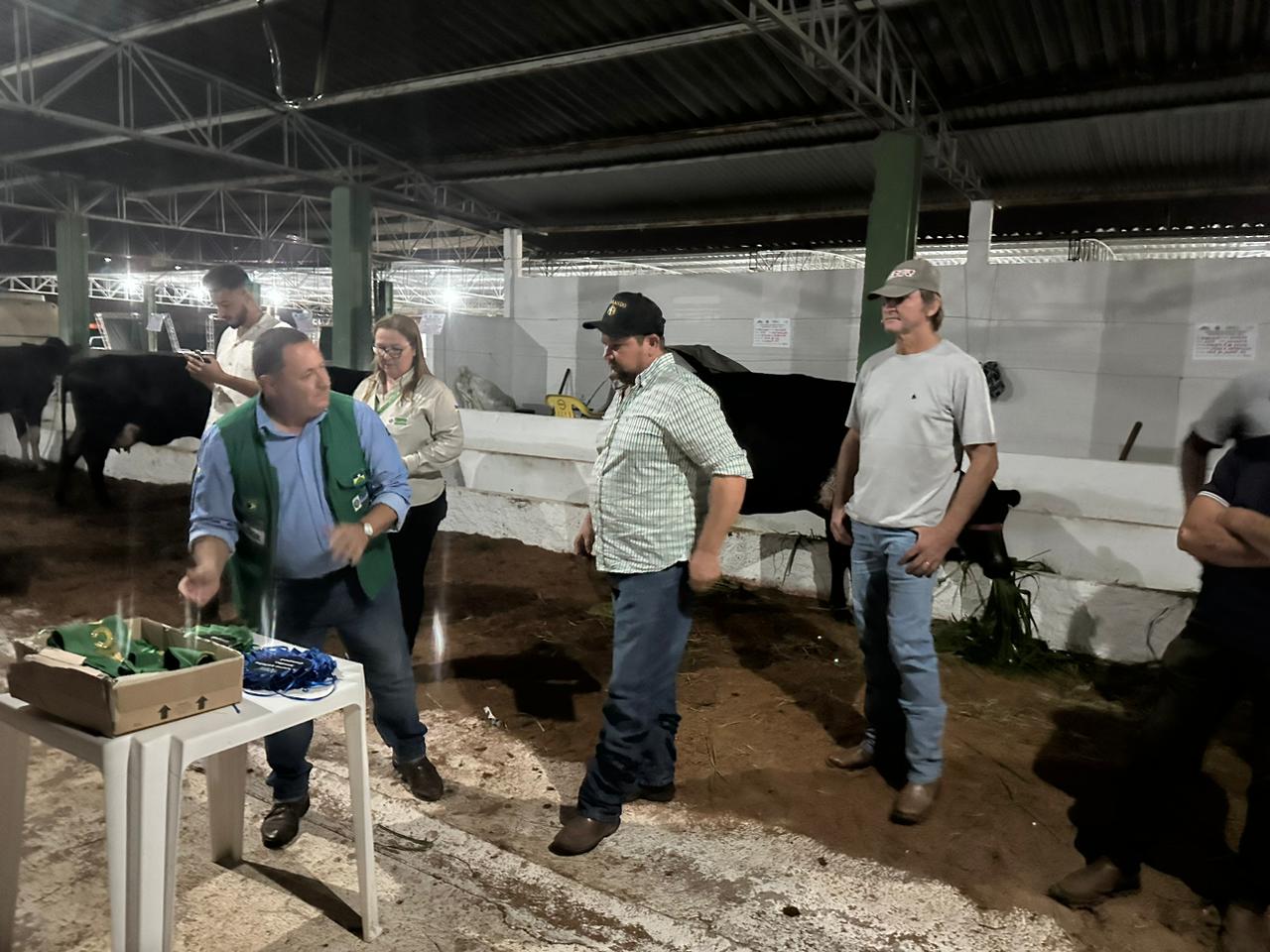 Vaca 'Potência' é campeã do concurso leiteiro da Exponorte em Vilhena