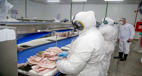 Mais de 2 mil vagas de empregos estão abertas no “Geração Emprego”
