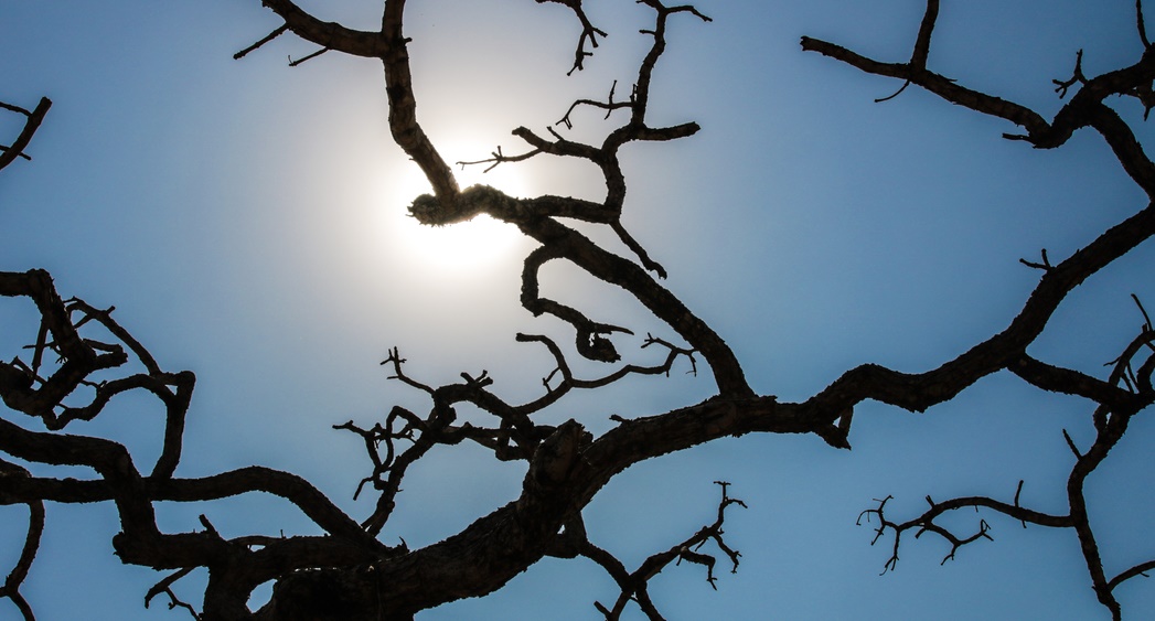 Brasil registra recorde da temperatura média pelo quarto mês seguido
