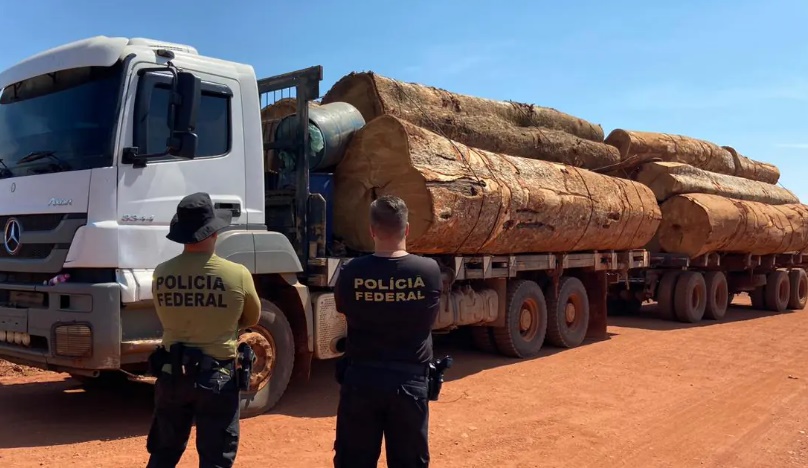 PF apreende caminhão com madeira ilegal extraída de Terra Indígena.
