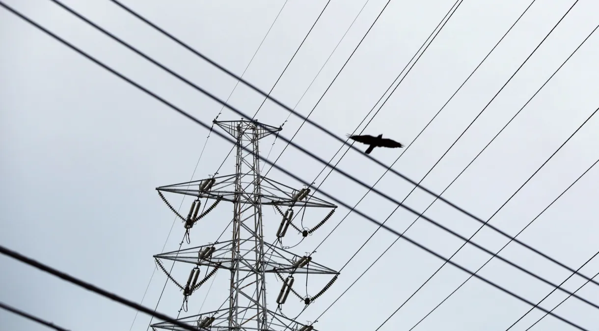 Com recordes de consumo, Brasil importa energia da Argentina e liga térmicas pelo país
