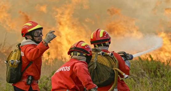 Fogo destrói 200 hectares do Parque Nacional do Monte Pascoal em Porto Seguro