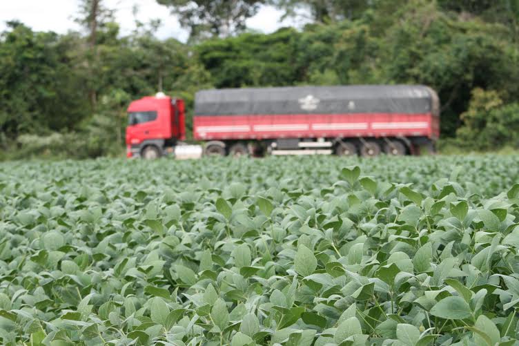 Governo prevê novo prazo para calendário de plantio de soja no Estado
