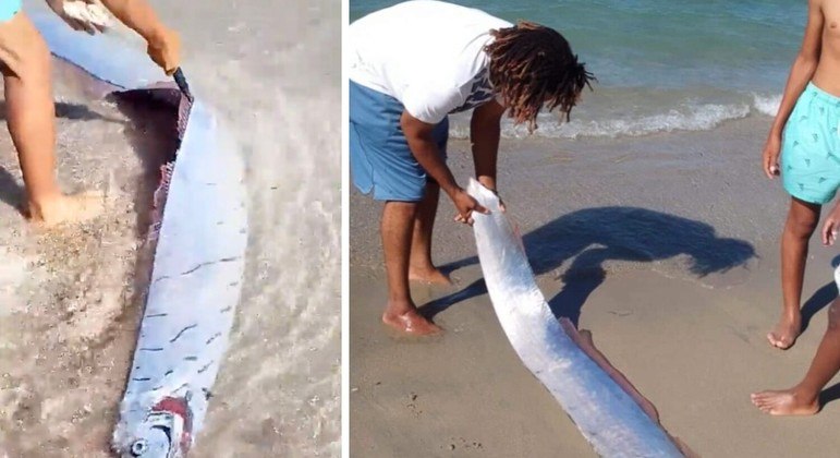 'Peixe do fim do mundo' é achado em praia perto de falha geológica e moradores temem tragédias

