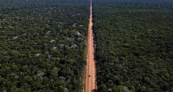 Câmara aprova utilização de dinheiro do Fundo Amazônia para asfaltar a BR-319
