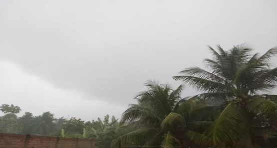 Chuvas e variação de temperatura em diferentes regiões de RO para domingo 