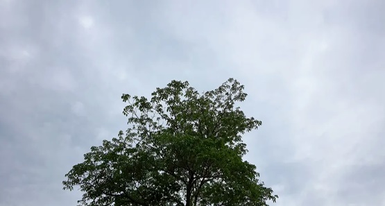 Sábado em RO será com sol e pancadas de chuva em todas as regiões