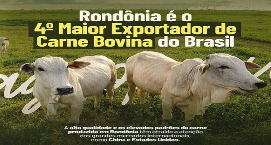 Estado de Rondônia é o 4º maior exportador de carne do Brasil