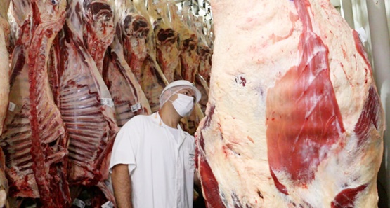 Rondônia ocupa o 1º lugar da região Norte em exportação de carne bovina