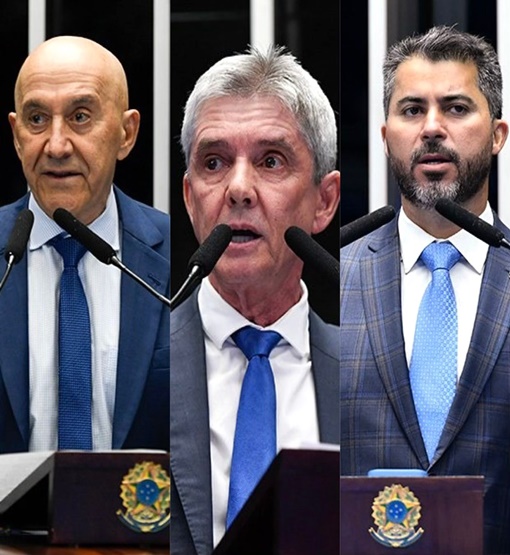 Veja como votaram os senadores de RO na taxação de compras internacionais