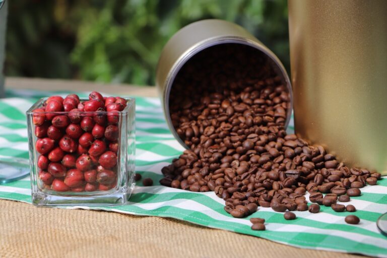 Feira Tecnológica destaca importância da variedade do café para Rondônia 