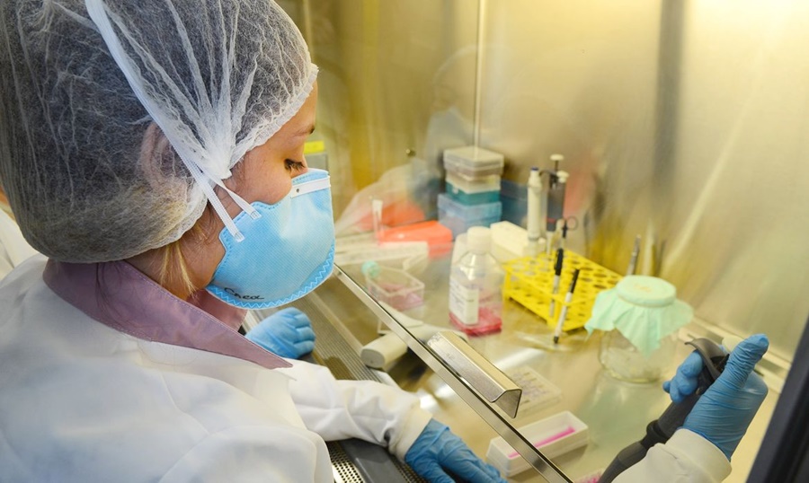 USP: pesquisa de vacina contra zika avança em testes com camundongos