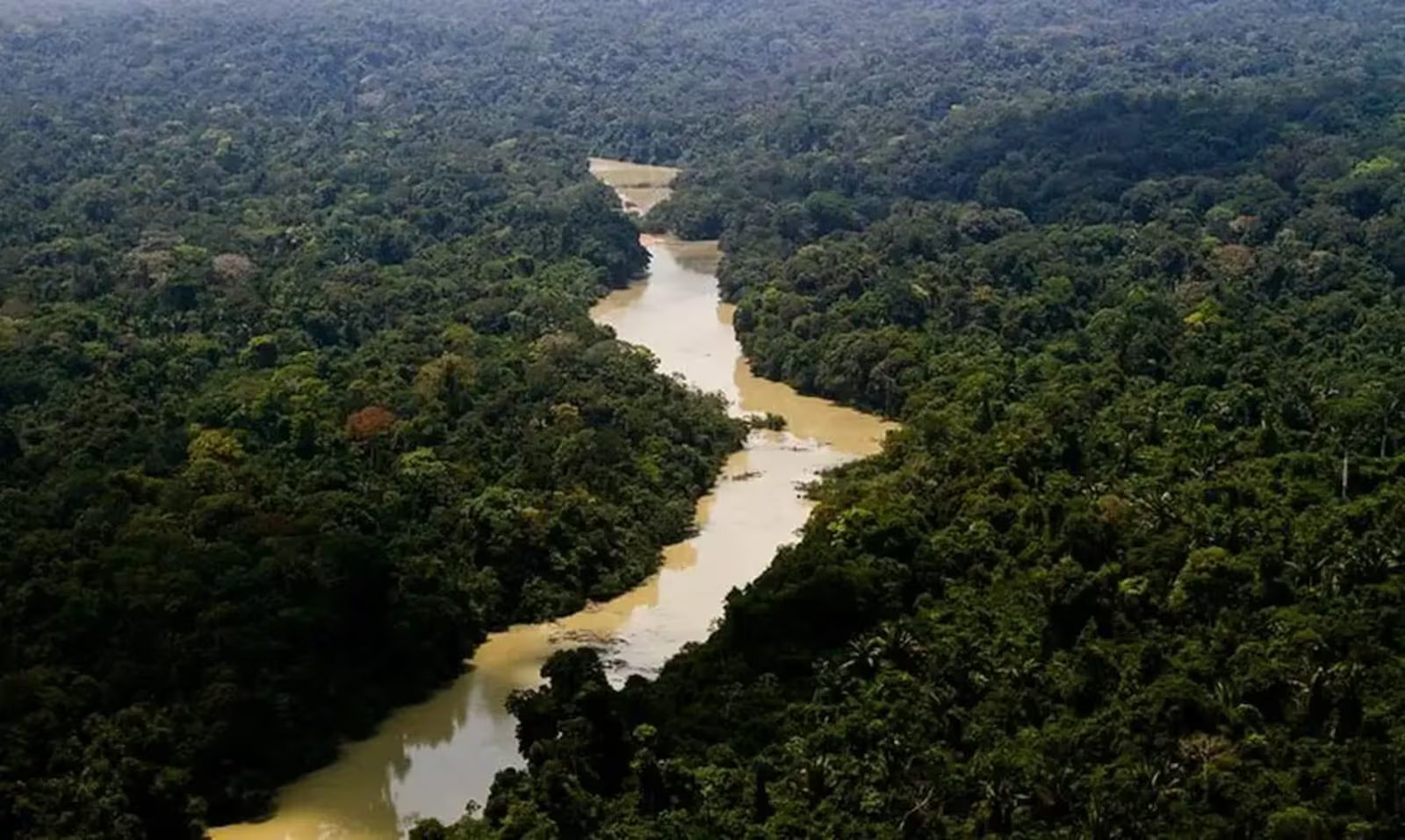 Câmara aprova regras a licenciamento com brecha para exploração de petróleo na Amazônia
