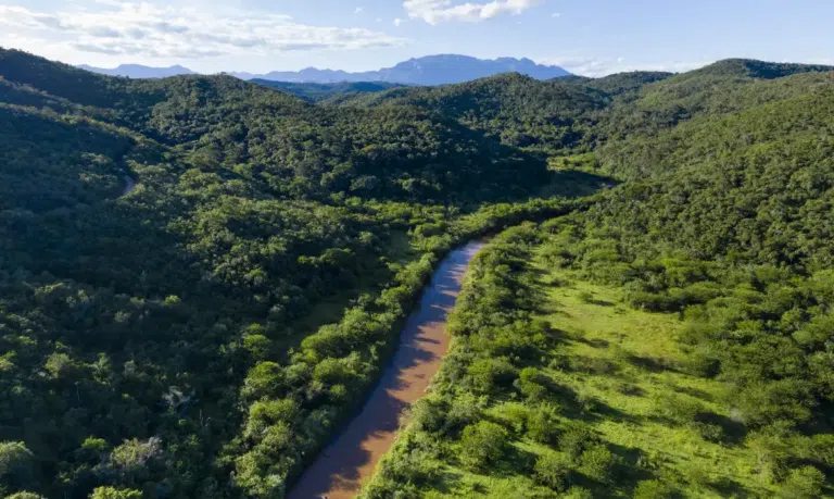 Dono de imóvel é condenado a reparar dano ambiental deixado por ex-proprietário

