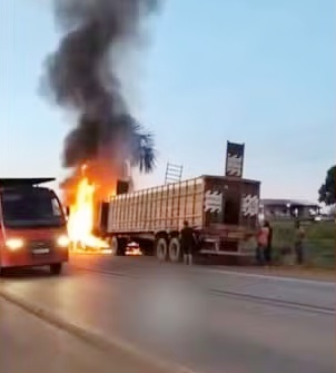 Caminhão boiadeiro pega fogo na BR-319 e animais fogem para se salvar