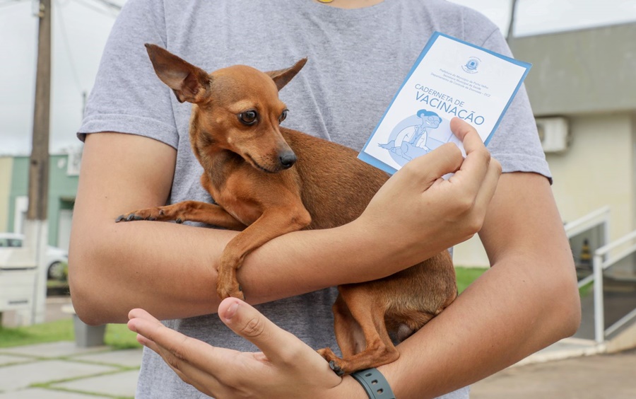 Caso suspeito de leishmaniose canina é identificado em Porto Velho após anos