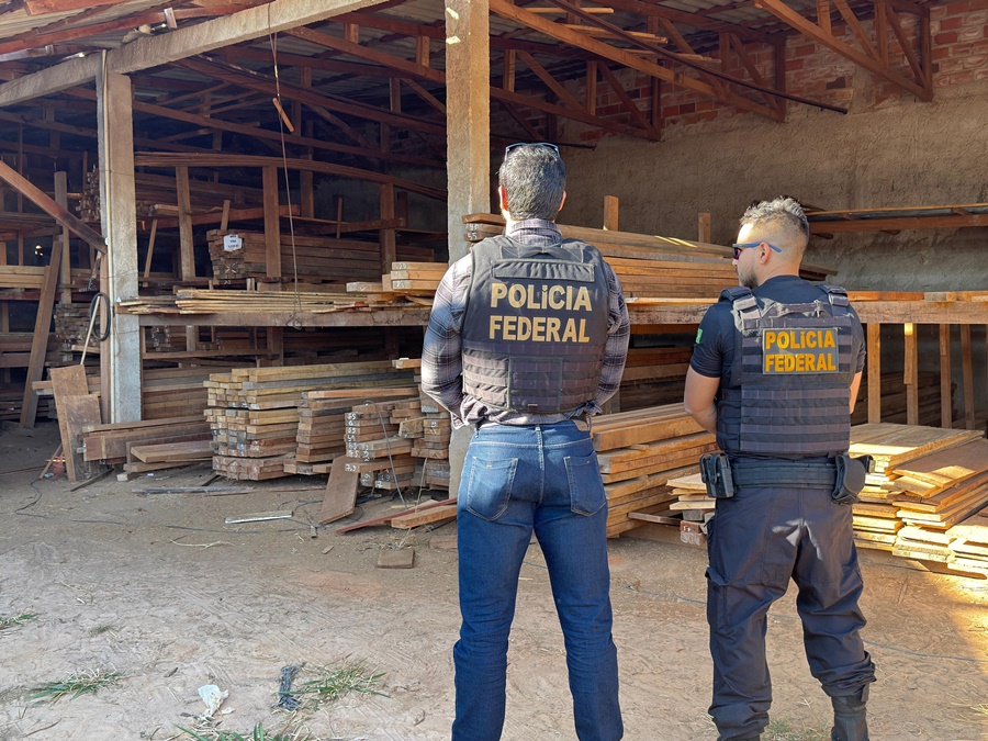 PF deflagra Operação contra extração ilegal de madeira em Terras Indígenas de Rondônia