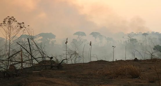  Chegada da seca deixa Rondônia em alerta com inferno das queimadas 


