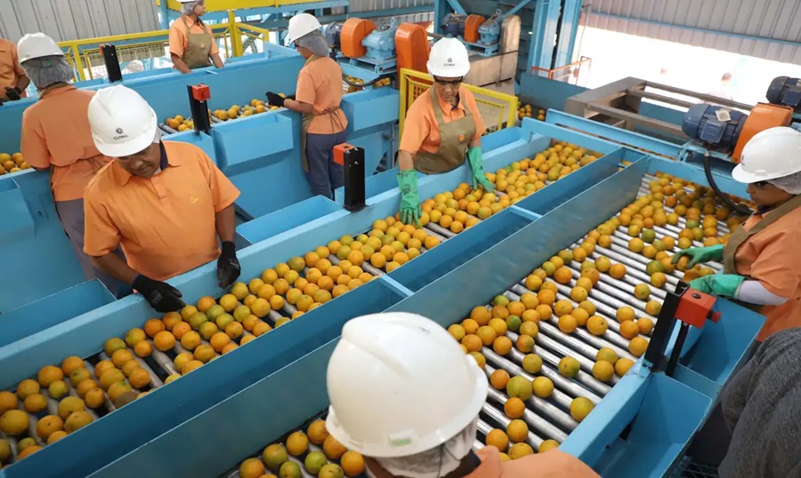 Confira a lista de quase 700 produtos que não serão taxados pelos EUA