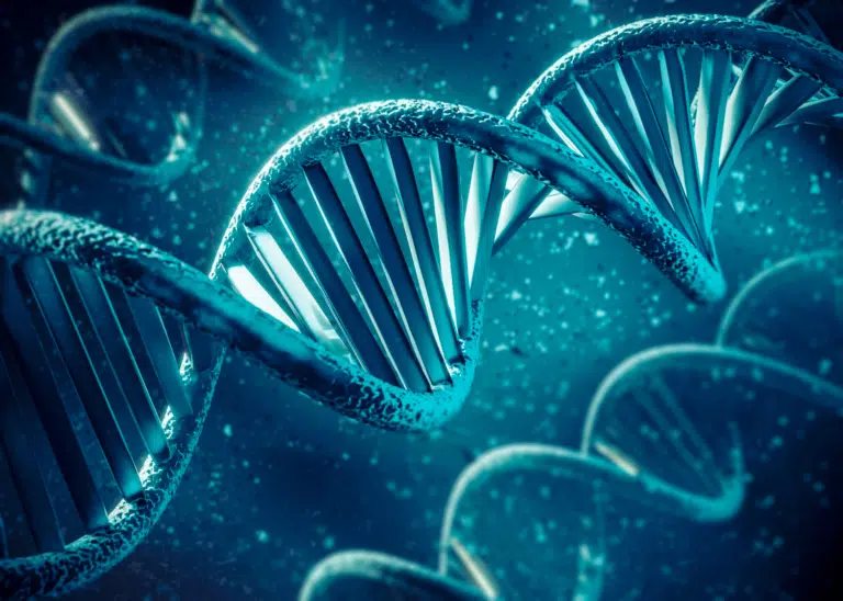 STF começa a julgar se é constitucional manter DNA de condenados em banco de dados
