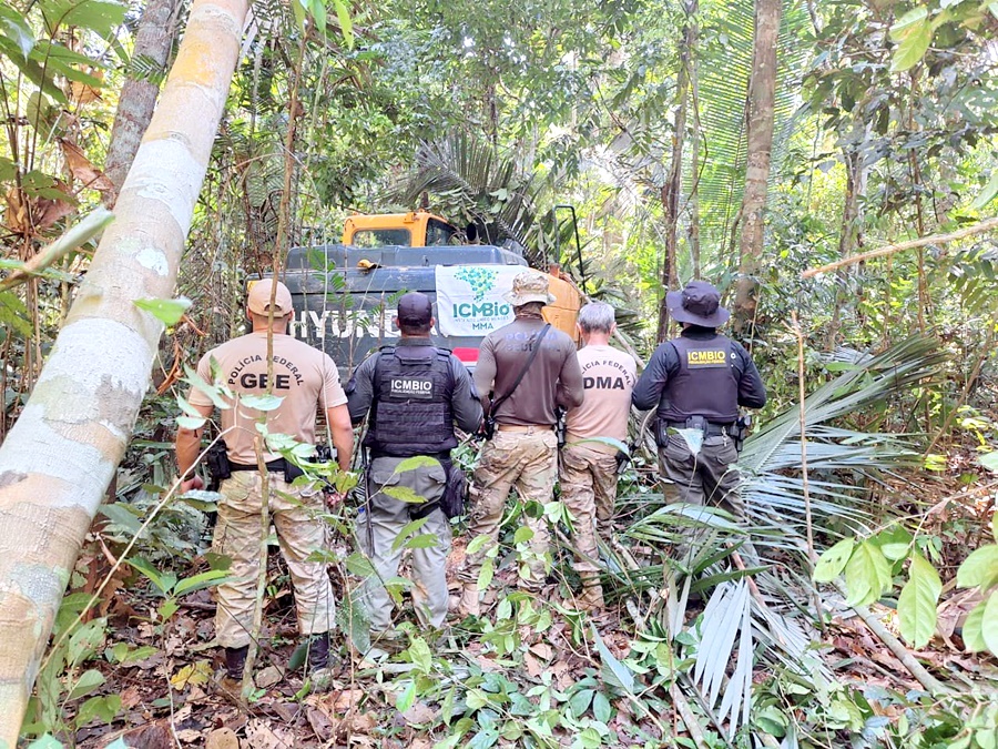 PF deflagra operação em combate a crimes ambientais em Rondônia