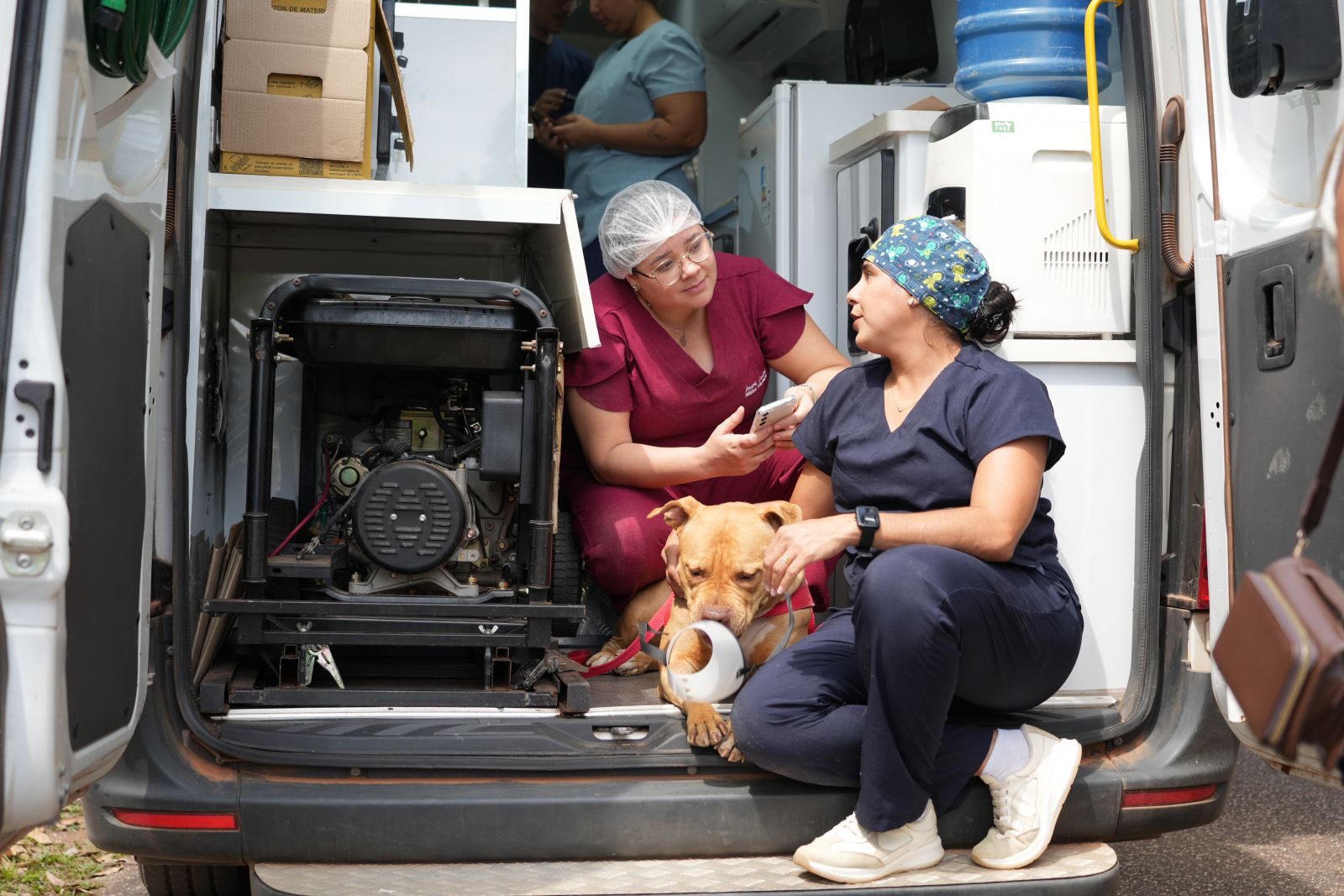 Porto Velho promoveu ação de exames e pré-operatórios para castração de cães e gatos 
