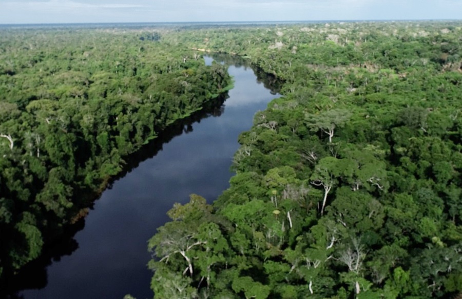 Governo de Rondônia conquista redução de 35% de áreas sob alerta de desmatamento
