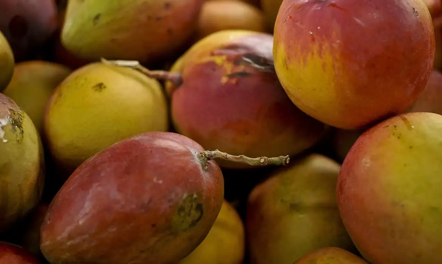 Abrafrutas apoia plano e pede atenção a pequenos produtores