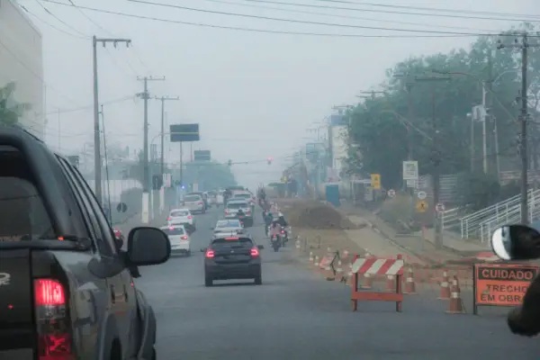 Quase 80% dos rondonienses moram em ruas sem nenhuma árvore plantada