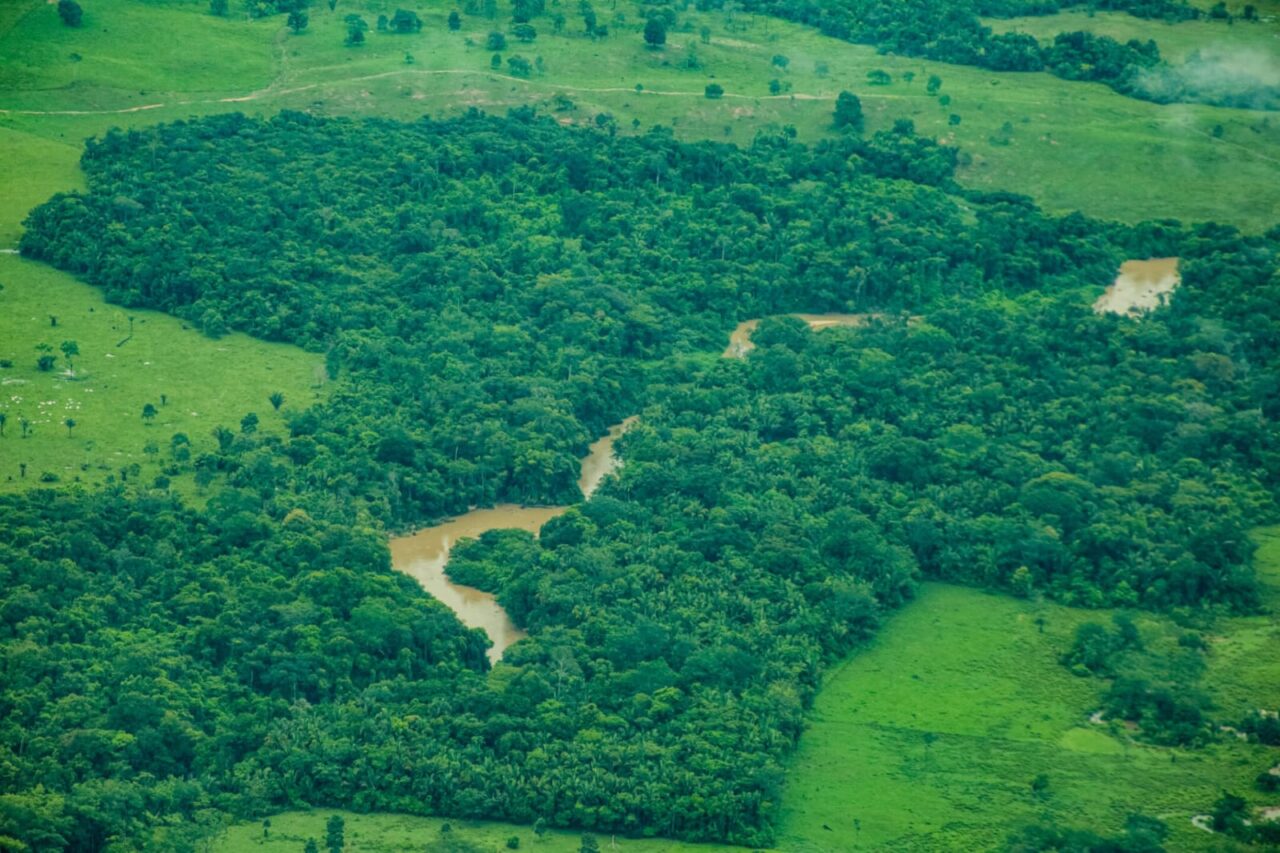 Queda de 35% no desmatamento marca ano positivo para Rondônia