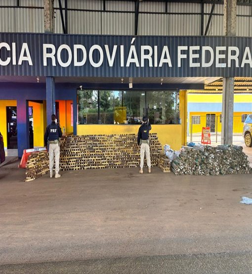 Rondônia intensifica combate ao tráfico com recordes de apreensão de drogas