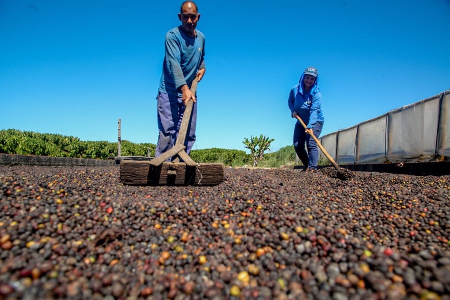 Inscrições para o 10º Concafé são prorrogadas e produtores ganham mais prazo até 29 de agosto