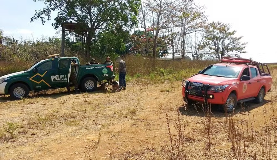 Caçadores são presos com animais abatidos e armas ilegais em Campo Novo de Rondônia