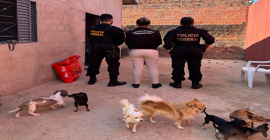 PF deflagra operação contra crimes sexuais infantojuvenil e maus-tratos a animais