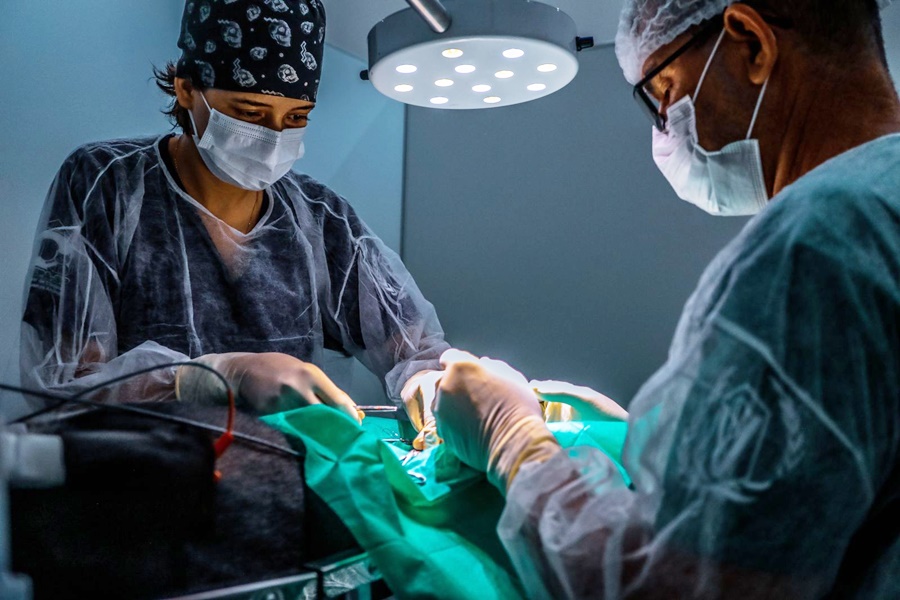 Inscrições abertas para Aprimoramento em Medicina Veterinária em Porto Velho