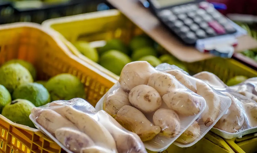 Conab aponta queda nos preços da batata e da cebola em todo o país