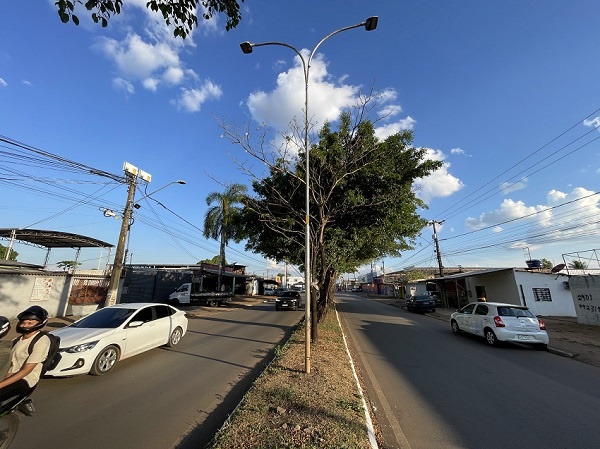 Prefeitura e Emdur reforçam combate aos furtos de fiação na Av. Guaporé entre Avenidas Calama e Imigrantes