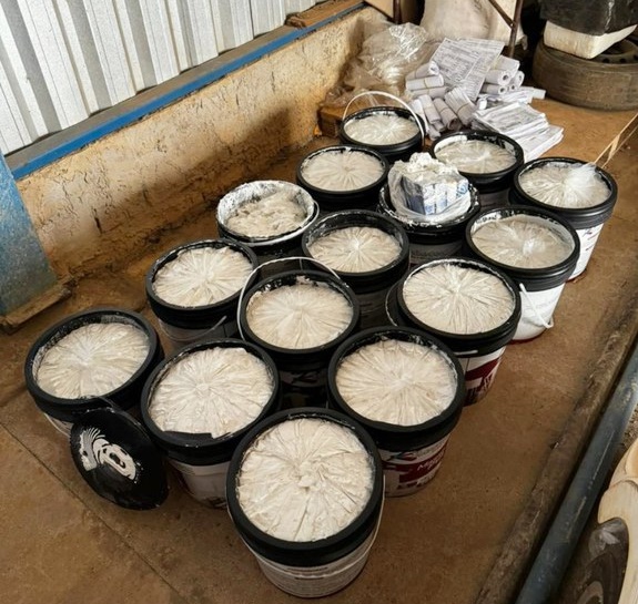 PF apreende 62,4kg de cocaína durante operação contra tráfico de drogas em Ariquemes