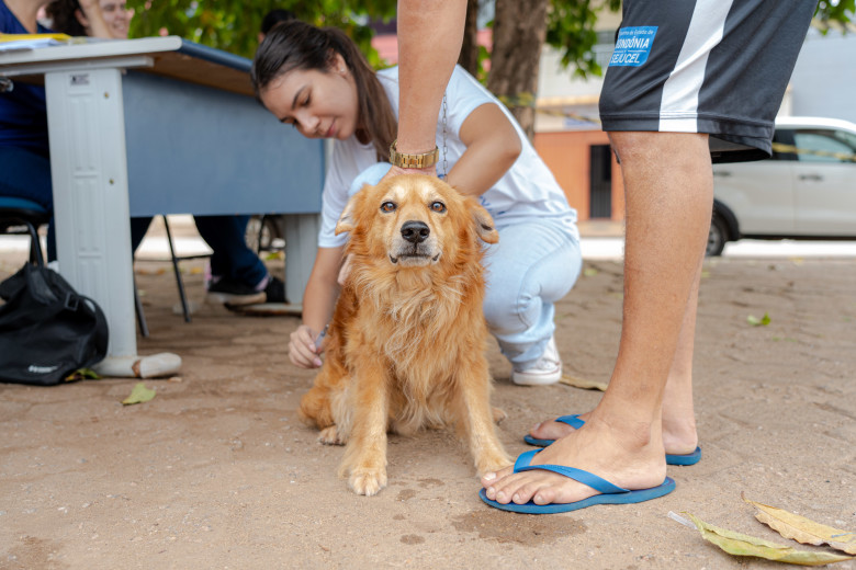 Prefeitura facilita agendamento de vacinação através do sistema Vacinação Pet
