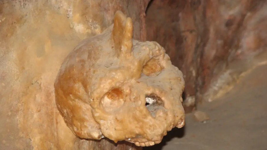 Crânio de 300 mil anos encontrado em caverna intriga cientistas: "Não é humano"
