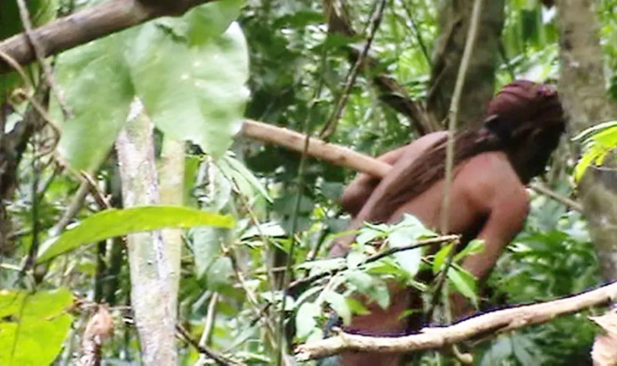 STF aprova plano para transformar área do 'Índio do Buraco' em parque nacional