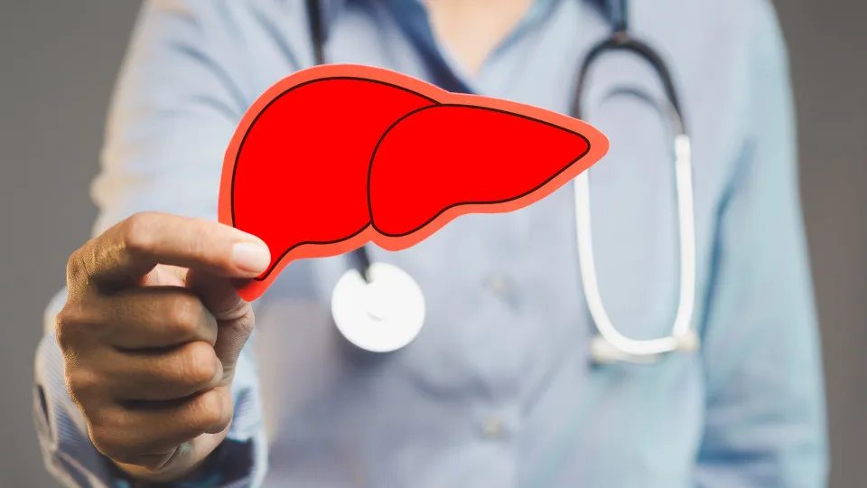 Estudo revela o alimento que pode reduzir a gordura do fígado em 50%
