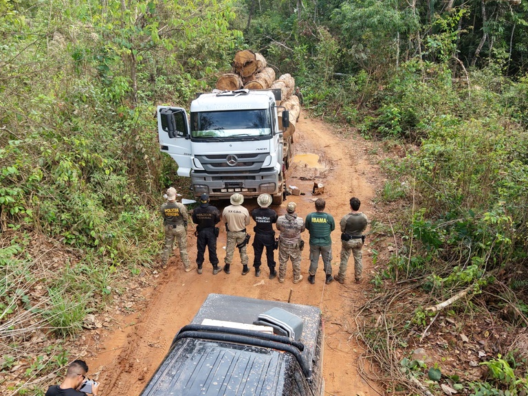 PF combate exploração ilegal de madeira em terra indígena de Rondônia