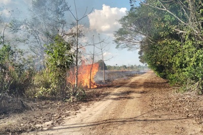 MPF e PF investigam denúncias de intimidação contra comunidade Puruborá em Rondônia