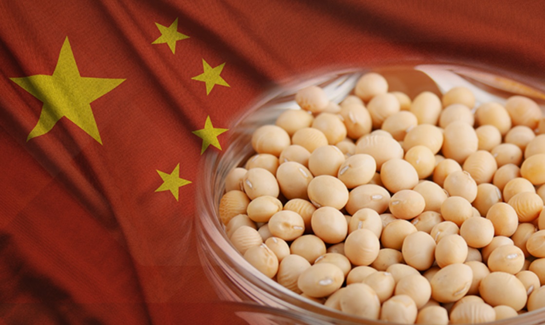 China derruba compras de soja dos Estados Unidos como ultimato para tarifas
