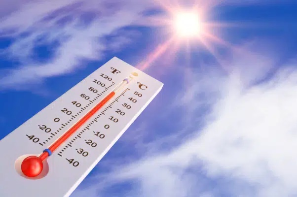 Justiça do Trabalho vai treinar magistrados e servidores sobre exposição de trabalhadores ao calor
