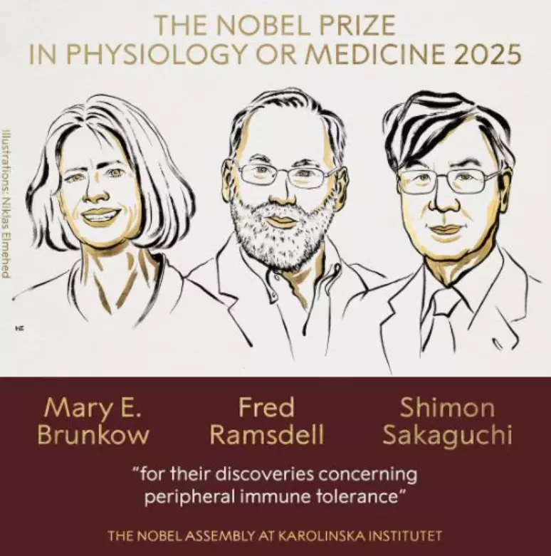 Nobel premia cientistas que alavancaram pesquisa contra câncer e doenças autoimunes